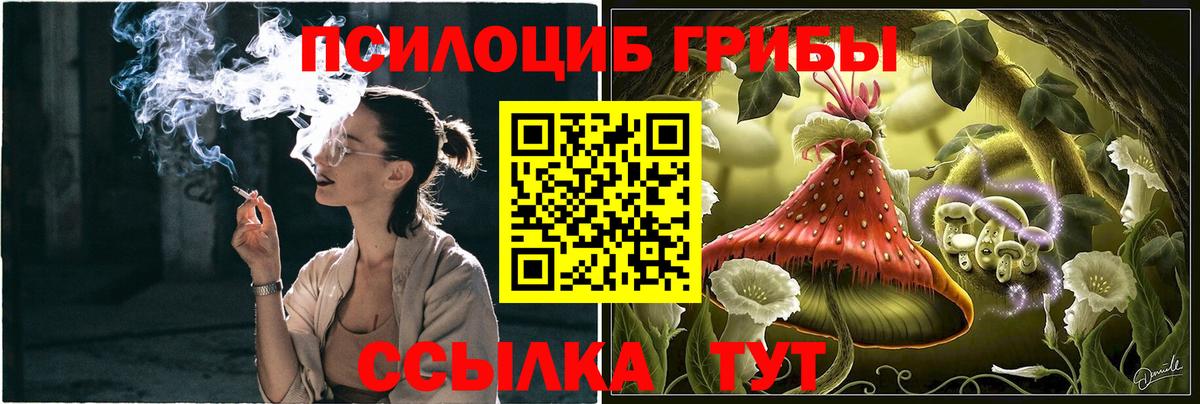Азов  Псилоцибиновые грибы Psilocybe  Псилоцибиновые грибы Psilocybine cubensis  Вход с VPN 