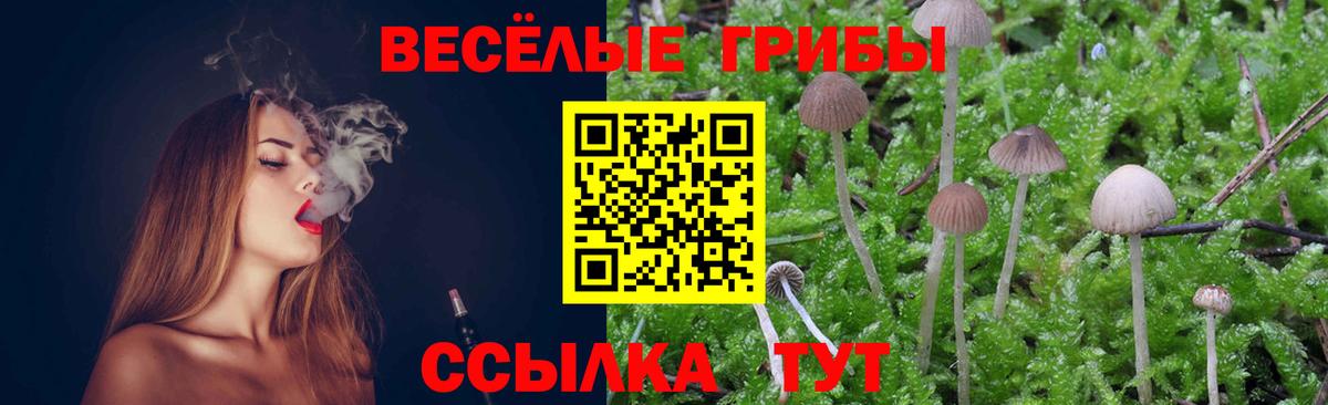 Псилоцибиновые грибы GOLDEN TEACHER Азов